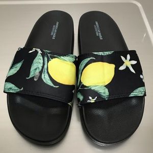 AE Lemon Slides
